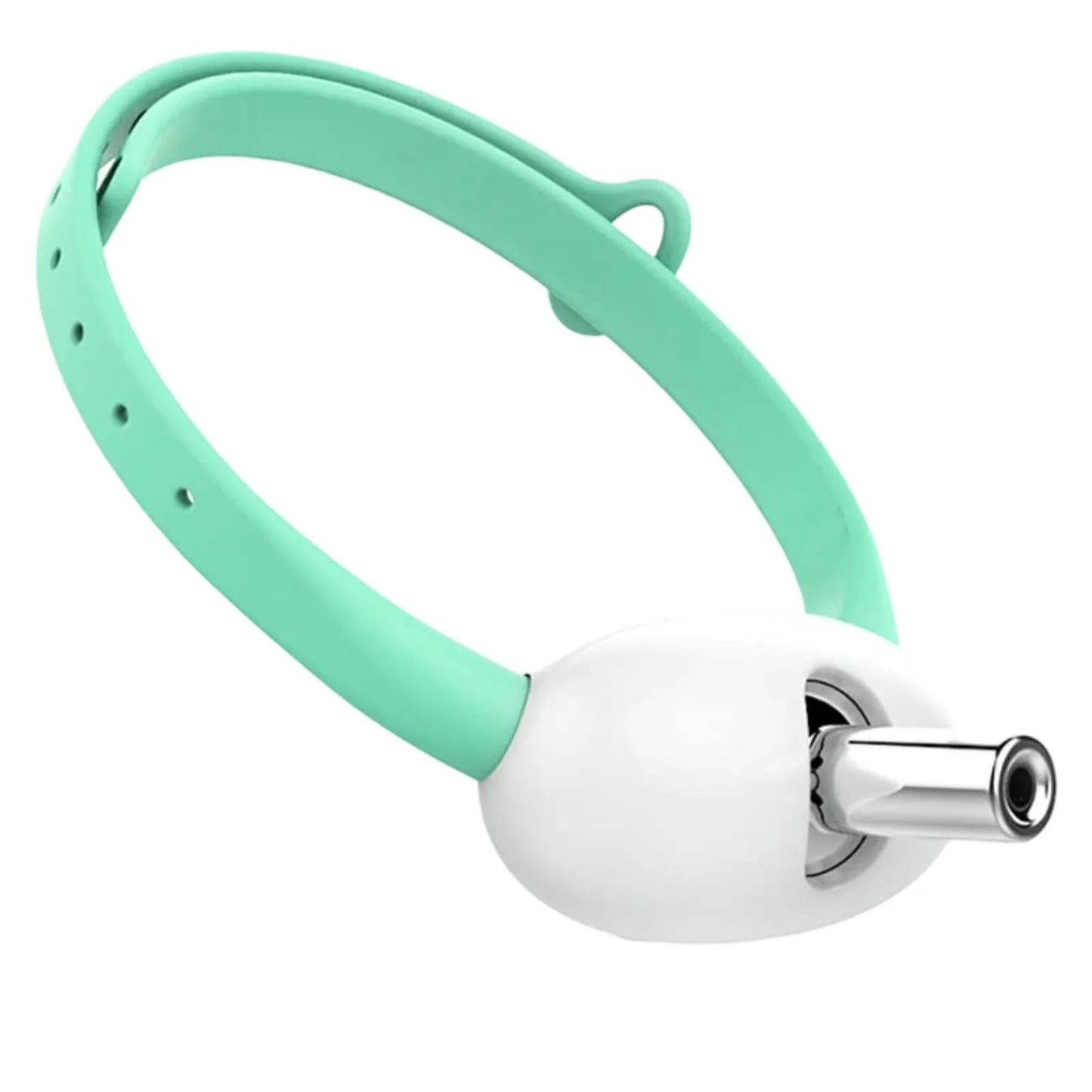 Chat Jouet - collier laser pour chat - Chatjouets