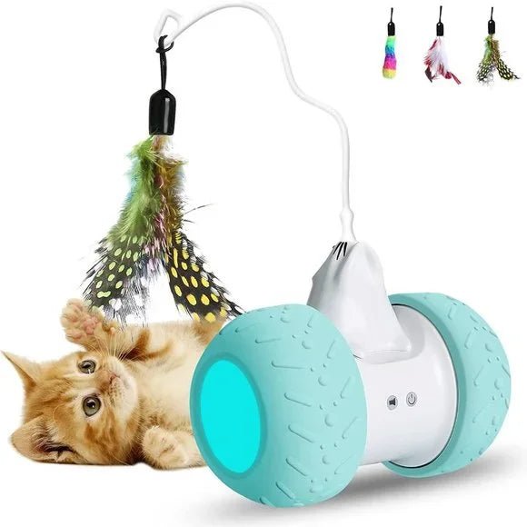 Chat jouet - souris pour chat - Chatjouets