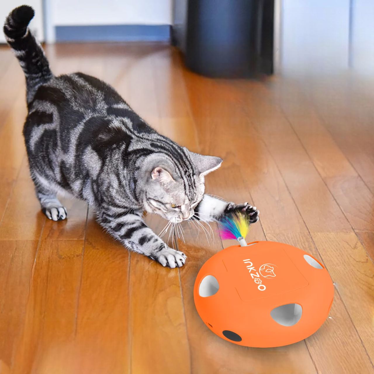 Jeux Chat - PlumeMagique™ - Orange - Chatjouets