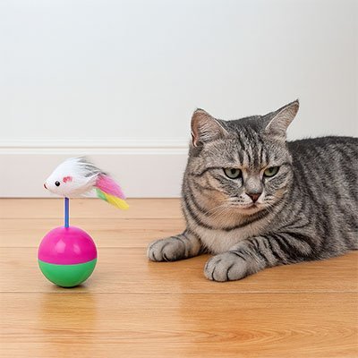 Jouet Culbuto Interactif Chat | FélinHunt - Chatjouets