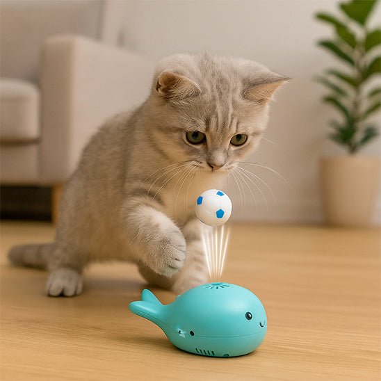 Jouet pour chat - balle flottante pour chat - Chatjouets