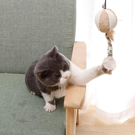 Jouets en plumes pour chat - Chatjouets