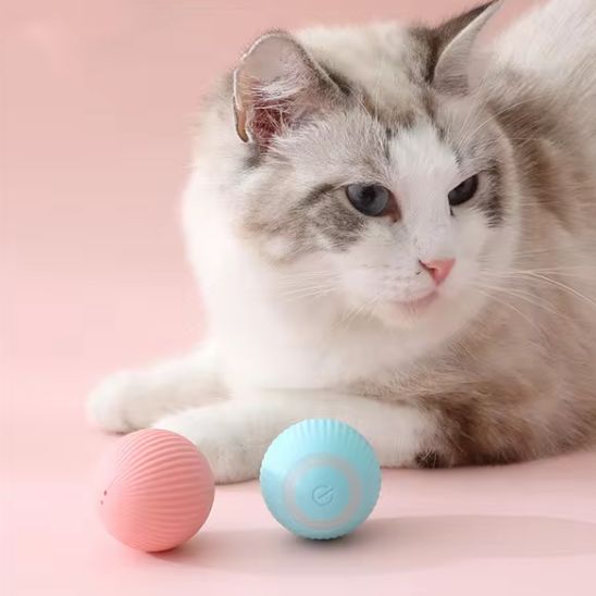 La Balle Automatique pour Chat - Chatjouets