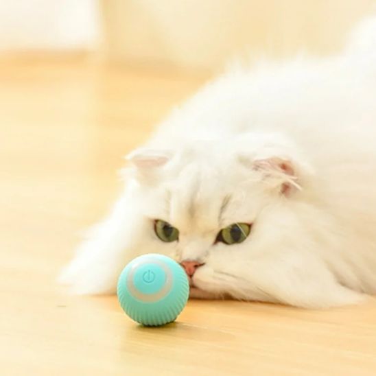 La Balle Automatique pour Chat - Chatjouets