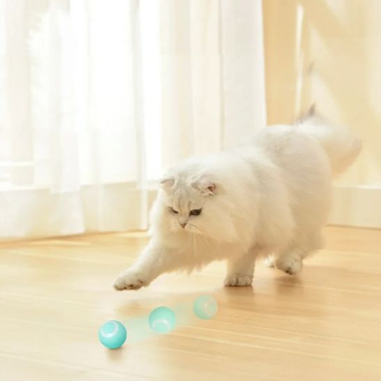 La Balle Automatique pour Chat - Chatjouets