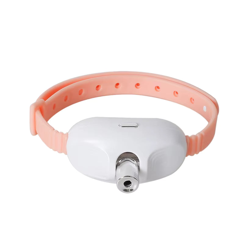 Chat Jouet - collier laser pour chat