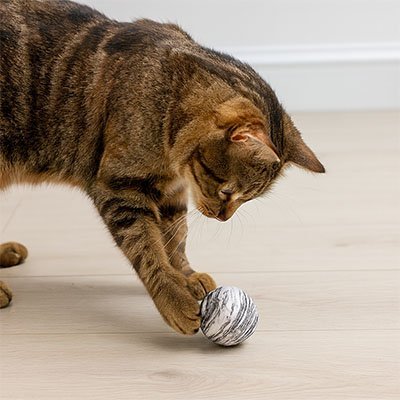 Balle pour chat | InstinctPlay - Chatjouets