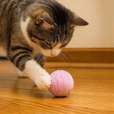 Balle pour chat | InstinctPlay - Chatjouets