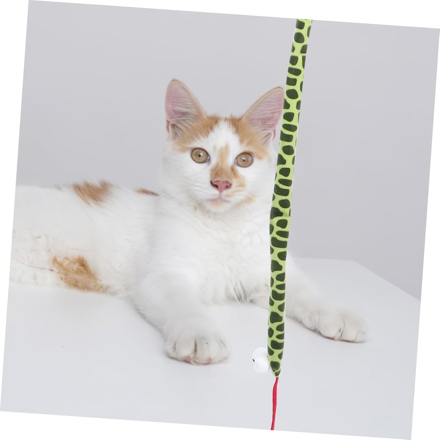 Chat Jouet - KittyCatch™ - Serpent - Chatjouets