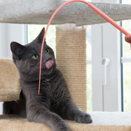 Chat Jouet - Queue de Souris - Chatjouets