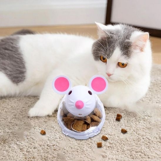 Distributeurs de nourriture pour chat - Chatjouets