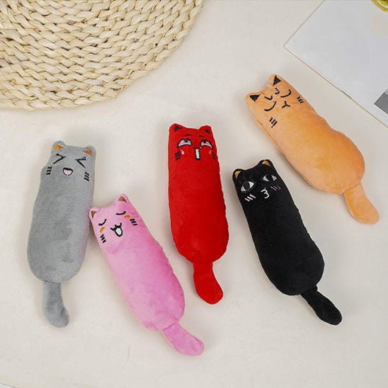 Herbe à chat biologique - Chatjouets