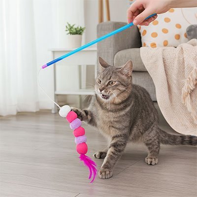 Jeu pour Chat | Baguette à Plumes Interactive - Chatjouets