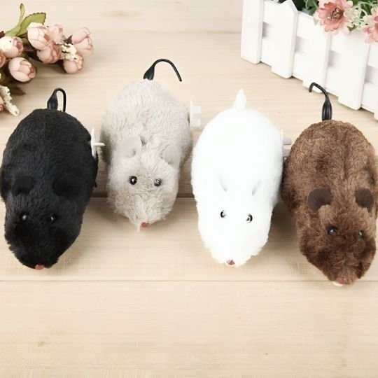 Jouet chat interactif | ChasseHunt - Chatjouets