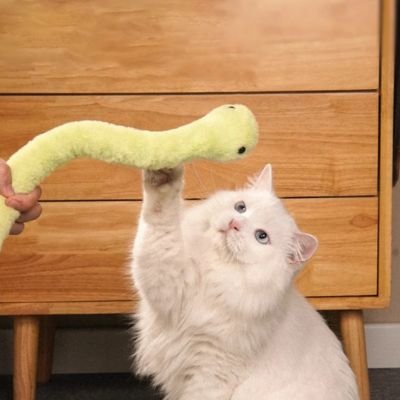 Jouet chat interactif | serpent pour chat - Chatjouets