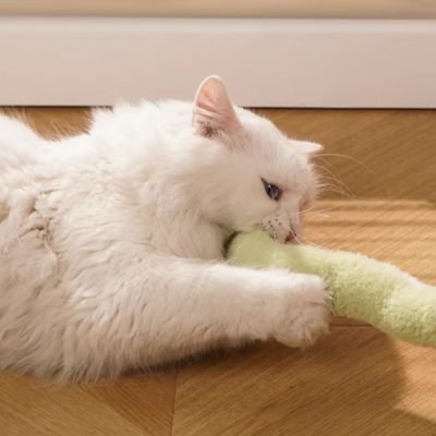 Jouet chat interactif | serpent pour chat - Chatjouets