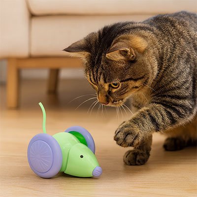 Jouet chat interactif | Souris Mécanique Réaliste - Chatjouets