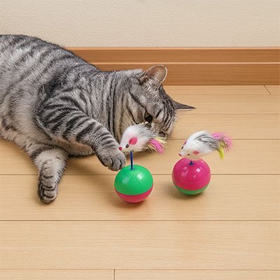 Jouet Culbuto Interactif Chat | FélinHunt - Chatjouets