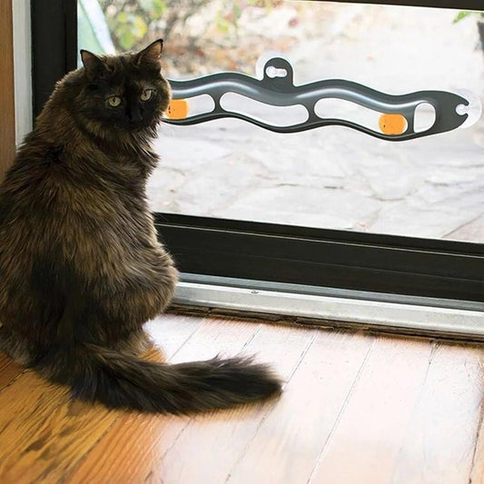 Jouet Interactif à Ventouse pour Chat - Chatjouets