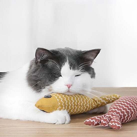 Jouet poisson pour chat - Chatjouets