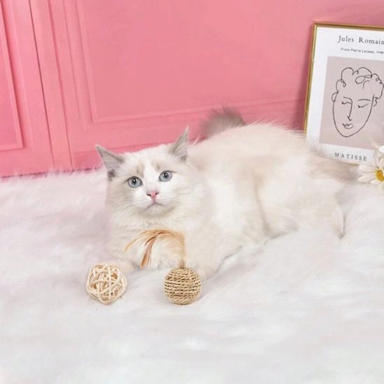 Jouet pour Chat - Balle en Sisal - Chatjouets