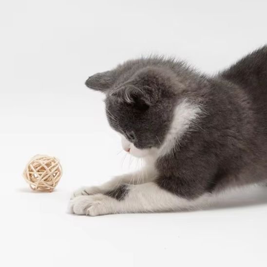 Jouet pour Chat - Balle en Sisal - Chatjouets
