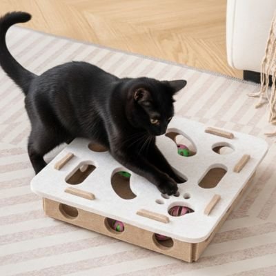 Jouet pour chat interactif | puzzle pour chat - Chatjouets