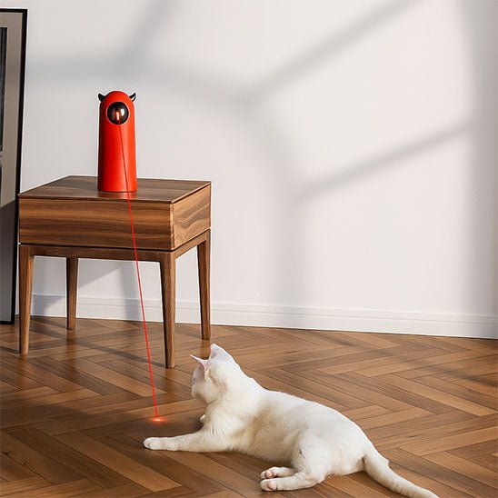 Jouet pour chat - laser automatique - Chatjouets