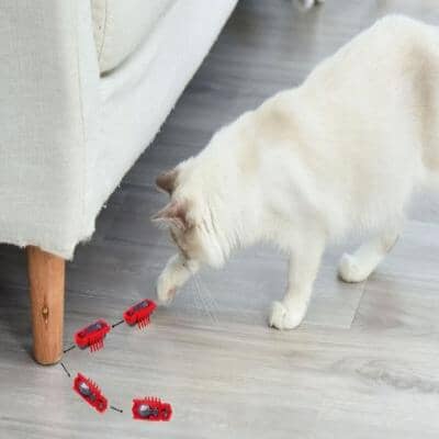 Jouet pour Chat - MiniInsecteToy™ - Scarabée Rouge - Chatjouets