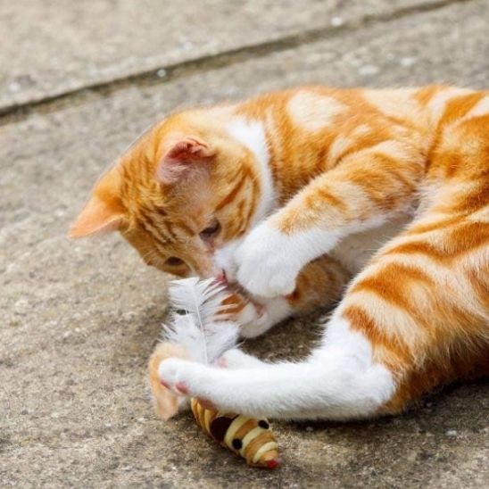 Jouet pour Chat - Souris en Sisal - Chatjouets