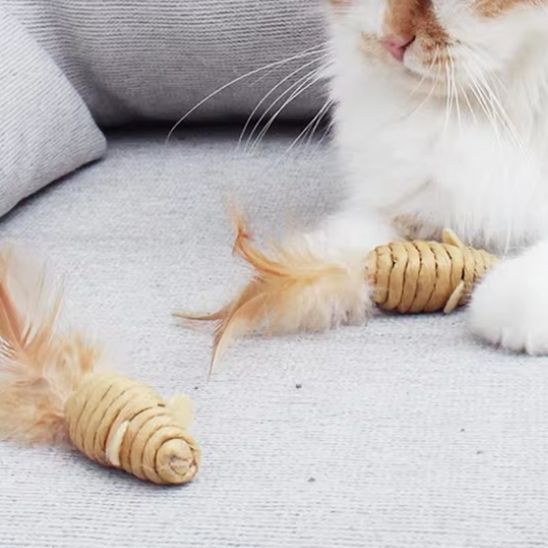 Jouet pour Chat - Souris en Sisal - Chatjouets