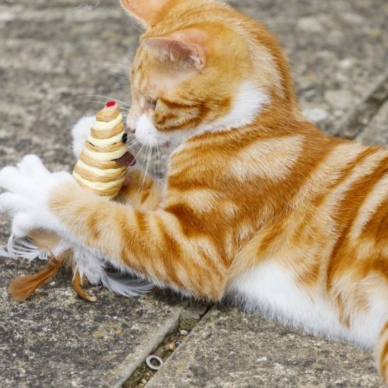 Jouet pour Chat - Souris en Sisal - Chatjouets