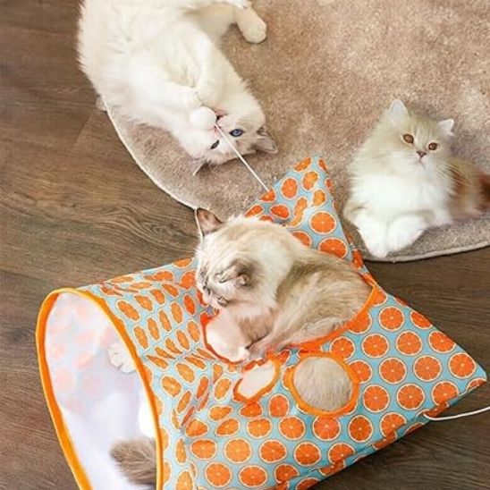 Jouet pour chat: Tunnel pour chats - Chatjouets