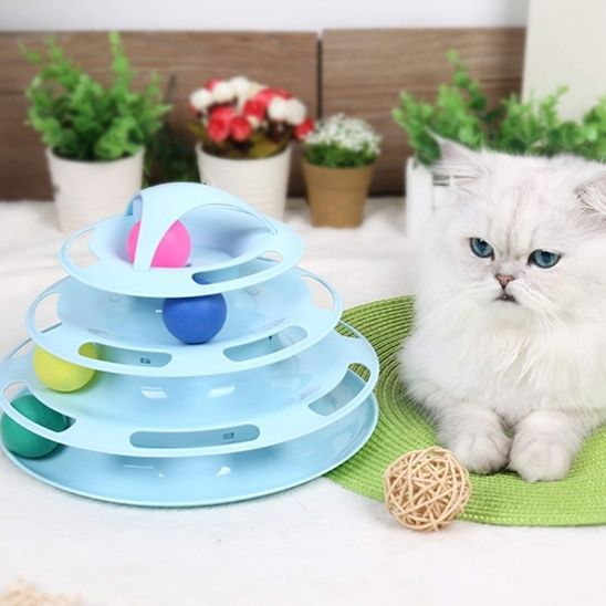 Tour de piste pour chat - Chatjouets