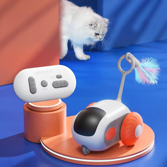 Voiture Interactive pour Chat - Chatjouets